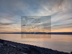 P 20180910 195115 HDR