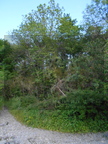 DSCN0639