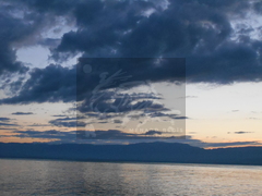 DSCN0558