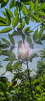 IMG-20240624-WA0021